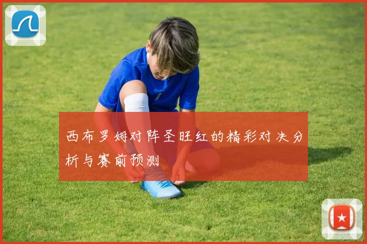 西布罗姆对阵圣旺红的精彩对决分析与赛前预测
