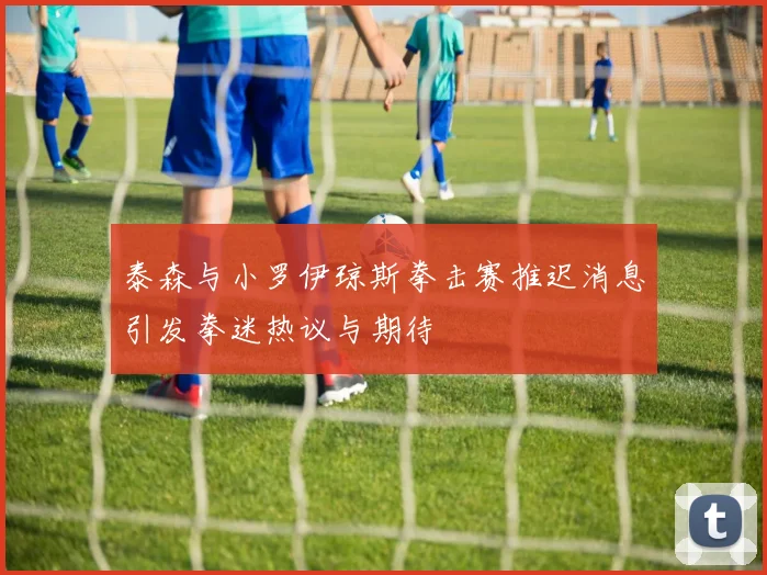泰森与小罗伊琼斯拳击赛推迟消息引发拳迷热议与期待